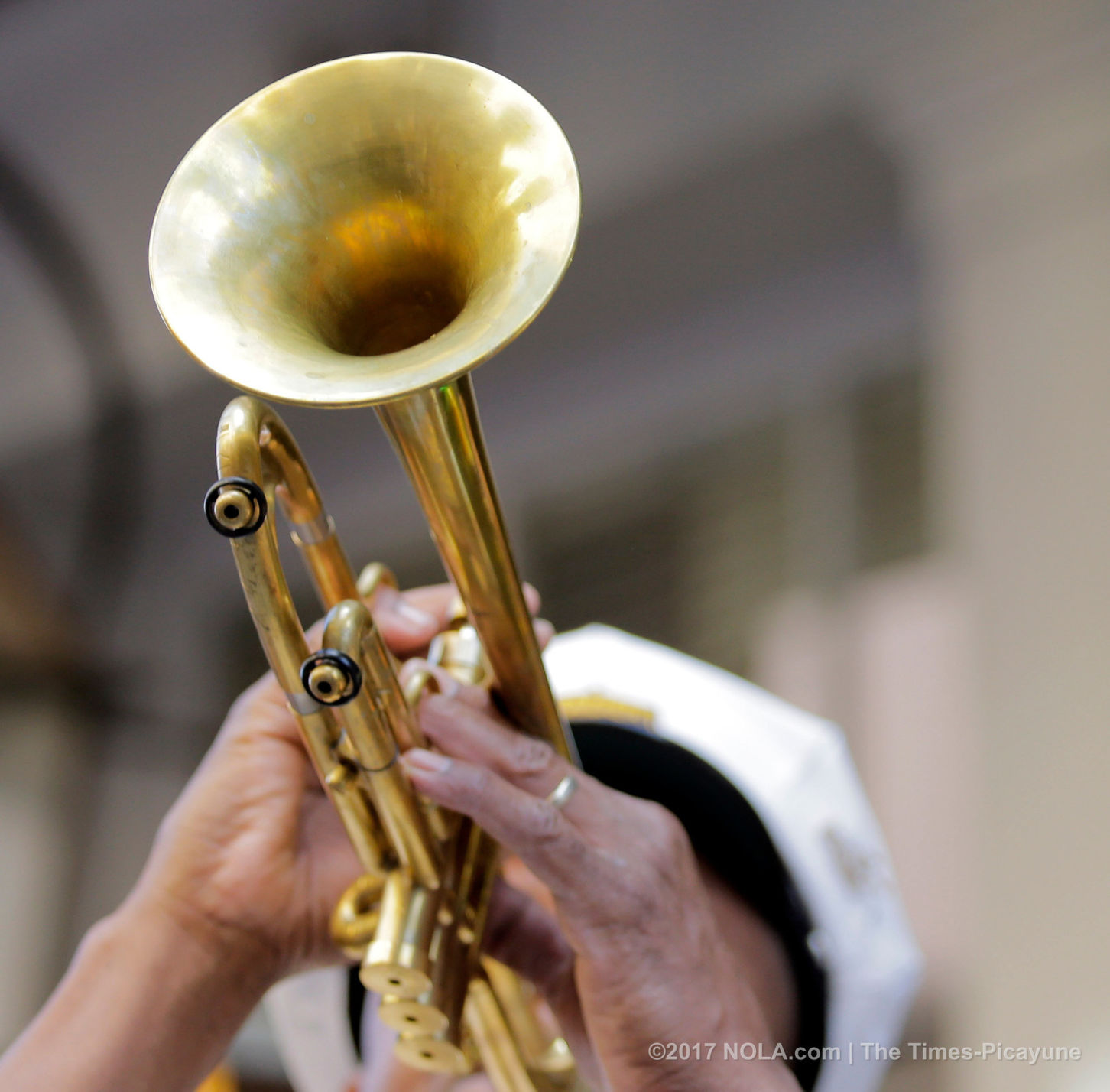 Only on Bourbon Street: Greasing of the Poles for Mardi Gras